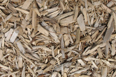 biomass boilers Ruddington